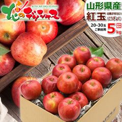 【予約/10月上旬(10月3日)頃～出荷予定】 山形県産 ご家庭用 りんご 紅玉 5kg (訳あり/20玉～30玉入り) こうぎょく リンゴ 林檎 わけあり ご自宅用 ご家庭用 お家用 お得 お買い得 果物 フルーツ 山形県 山形県直送 グルメ お取り寄せ