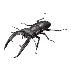 【中古】トレーディングフィギュア マンディブラリスフタマタクワガタ(黒) 「いきもの大図鑑アドバンス ギラファノコギリクワガタとマンディブラリスフタマタクワガタ」