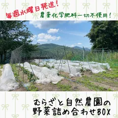 【むらざと自然農園】7品目＋おまけ野菜セット　農薬化学肥料不使用！野菜詰め合わせボックス　岐阜県加茂郡白川町黒川　自然豊かな環境で育ったお野菜をぜひお試しください〜