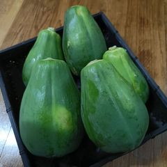石垣島産 自然栽培 青パパイヤ