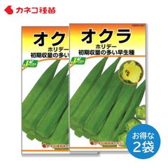 オクラ 種 ２袋セット 早生 扱いやすい 初期収穫量が多い 家庭菜園 野菜の種 畑 カネコ種苗