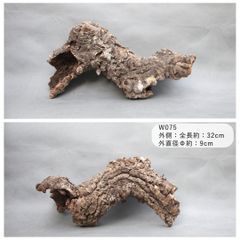 W075　ポルトガル産  コルク樹皮 キャノンコルク　バージンコルク 送料無料　チランジア　ビカクシダ　着生ラン　両生類　爬虫類