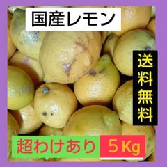 国産レモン　超訳あり　５Kg(箱込み)　大小混合　送料無料　和歌山県　マルマ農園のサムネイル