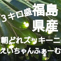福島県産!朝どれズッキーニ!３キロ盛