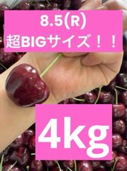 ミーナファーム　プレミアムチェリー　4kg アメリカンチェリー　さくらんぼ