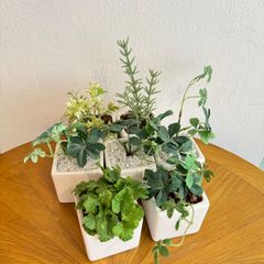 【フェイクグリーン7点セット】