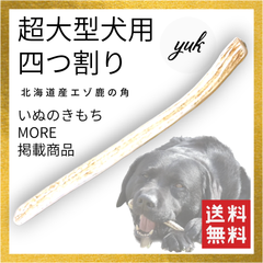 【クーポン発行中】🐶超大型犬用🐶四つ割り🦌北海道産エゾ鹿の角🦌犬のおもちゃ🐕鹿の骨　G