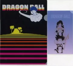 【中古】グッズセット B/A4クリアファイル＆チケットホルダー ステーショナリーアソート 「一番くじ ドラゴンボール Fantastic Adventure」 G賞