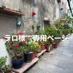 ラロ様　専用ページ