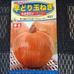 未開封＜野菜の種＞早どり玉ねぎ 　ネオポロン　颯　3.5ｍｌ　タマネギの種