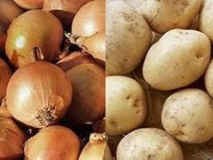 大山山麓 栽培期間中農薬化学肥料不使ジャガイモ3kg送料込 大山山麓 栽培期間農薬化学肥料不使用栽培じゃがいも3kg送料込