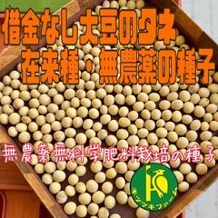 借金なし大豆のタネ　50粒　固定種・無農薬無化学肥料栽培・完全天日乾燥のタネ