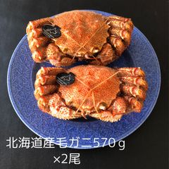 北海道産 チルド毛ガニ（1.1kg～1.14kg前後）（約550g～570g×2尾）   未冷凍　海明けガニ