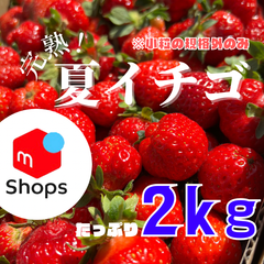 ✨大好評✨青森県産　夏イチゴ　小粒規格外　2kg 苺　いちご