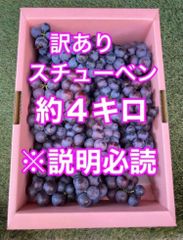 🍇【訳あり】スチューベン約４キロ🍇