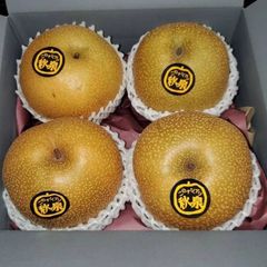 秋田県オリジナル梨　秋泉（しゅうせん）　1箱（４個入）