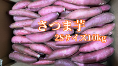 さつま芋 紅はるか/シルクスイートどちらか 10kg 2Sサイズ　一口サイズ