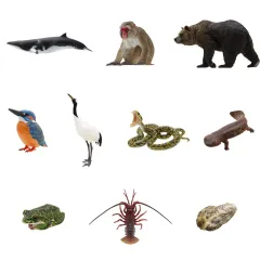 【中古】トレーディングフィギュア 全10種セット 「NATURE OF JAPAN 日本のいきもの1」