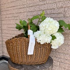 Item thumbnail for item 0890f195-58a8-4356-a801-983358dd0246