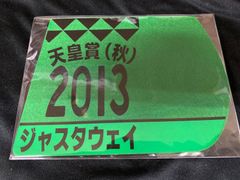 ［競馬］ジャスタウェイ（2013年天皇賞・秋）ゼッケンコースター