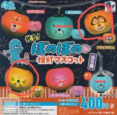 光沢 ボノボノの ランタン ガチャ カプセルトイ 2 種 まとめ売り 未開封