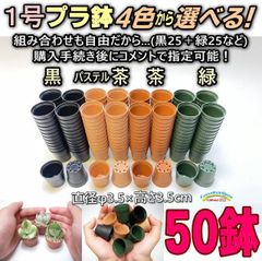 ●平日＊日中注文即日発送-1号鉢ミニプラ鉢- [黒/パステル茶/茶/緑] 50鉢＊1寸鉢：ミニプラ鉢に特化した品揃え！-1号プラ鉢50個セット＊多肉植物・塊根植物コーデックス・アガベ・サボテン・ハオルチア・アデニウム・パキポディウム・実生＠フラワーショップ江口