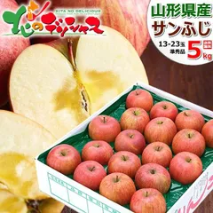 山形県産 ご家庭用 りんご サンふじ 5kg (準秀品/13玉～23玉入り) 旬 ふじ リンゴ 林檎 ご自宅用 ご家庭用 お家用 お得 お買い得 果物 フルーツ 山形県 山形県直送 グルメ お取り寄せ