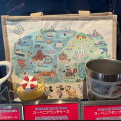 2025年最新】ディズニー スーベニアランチケース マップの人気