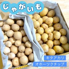 福岡県産 無農薬じゃがいもSSサイズ ★宅急便コンパクト