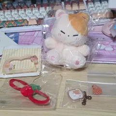 INFINITE (インフィニット) ソンギュ (SUNGKYU) ぬいぐるみ ギュコンセット 出品 (値下げ)