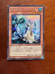 憑依装着　エリア　シク