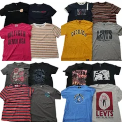 古着卸 まとめ売り ブランドMIX 半袖Tシャツ 16枚セット (メンズ Ｍ ) ノーティカ ディッキーズ リーバイス トミー  中古 古着 NB4969
