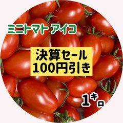 【大好評 産直】新鮮ミニトマト アイコ 1㌔