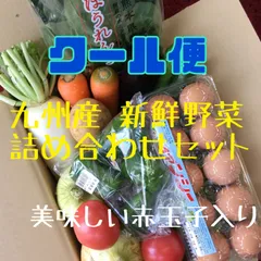 【クール便送料込み】九州産　新鮮野菜　詰め合わせセット　赤玉子入り