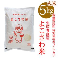 新潟県認証 特別栽培米コシヒカリ よこさわ米 玄米 5キロ 新潟産こしひかり
