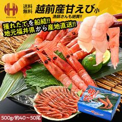 甘エビ 甘えび 子なし 小 刺身 500g 約40〜50尾 冷凍 越前甘エビ 福井県 ギフト