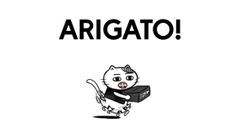 ポケモンカード151 ブイズ4連番セット マスターボール PSA10