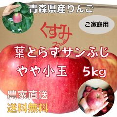 青森県産りんご　葉とらずサンふじやや小玉5kg