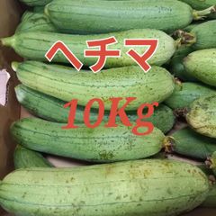 夏場限定！沖縄ヘチマ へちま 産地直送10KG 夏場限定！沖縄ヘチマ へちま 産地直送10KGの通販 by 酒に響's