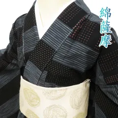 K0929 美品 逸品 希少 織の宝石 錦薩摩 蚊絣 木綿 小紋