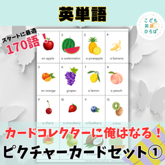 英単語　はじめてのピクチャーカードセット①【厚紙印刷・カッティング可】