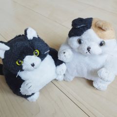 ねこぬいぐるみ