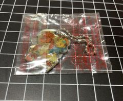 Aレア☆未使用☆冒険遊記プラスターワールド デリィ キーホルダー