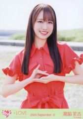 海とレモンティー 野口衣織 - メルカリ