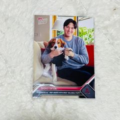大谷翔平 MLB topp now愛犬デコピン2ショット - メルカリ