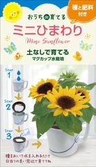 マグカップ水栽培　花シリーズ「ミニひまわり」（送料込）
