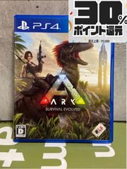 【美品】ARK: Survival Evolved