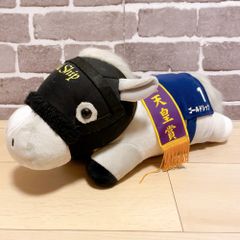 中山グランドジャンプ オジュウチョウサン アイドルホース