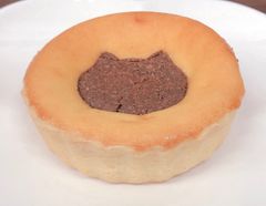 ✴︎手作りねこちゃんタルト5個入り詰め合わせセット✴︎