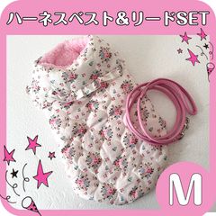 Item thumbnail for item b25b9340-3718-4550-873c-a762e6199190